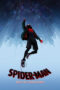 Spider-Man: Into the Spider-Verse (2018) Spider-Man: Into the Spider-Verse (2018)