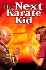 The Next Karate Kid (1994) The Next Karate Kid (1994)