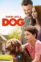 Nonton Film Think Like a Dog (2020)
