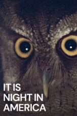 Nonton Film It Is Night in America (2022)