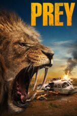 Nonton Film Prey (2024) Nonton Film Prey (2024)