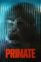 Primate (2026)